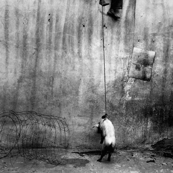 RaphaÃ«l Denis for Roger Ballen