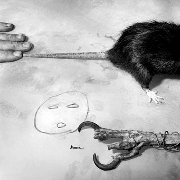 RaphaÃ«l Denis for Roger Ballen