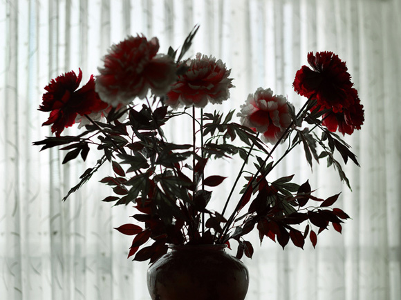 Raphael Denis for Phillip Toledano
